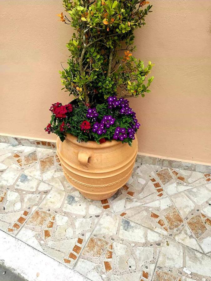 Joy New Port Studio Corfu Town Exterior foto